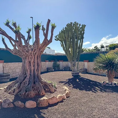 Nirvana Private Pool By Holidays Corralejo